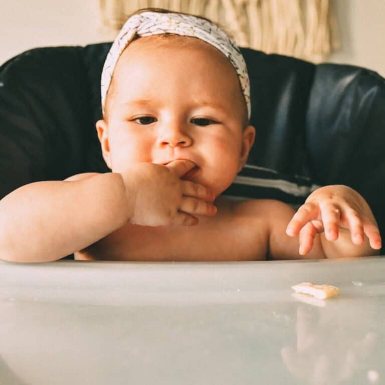 Baby sitting in a high chair with a piece of finger food in front of her.