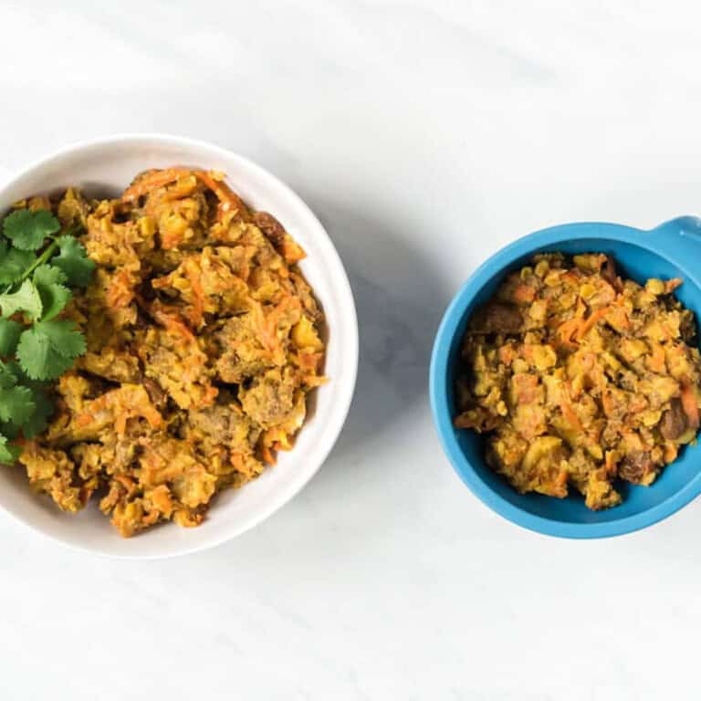 A side by side image of a moroccan beef for mom and dad beside a baby friendly version