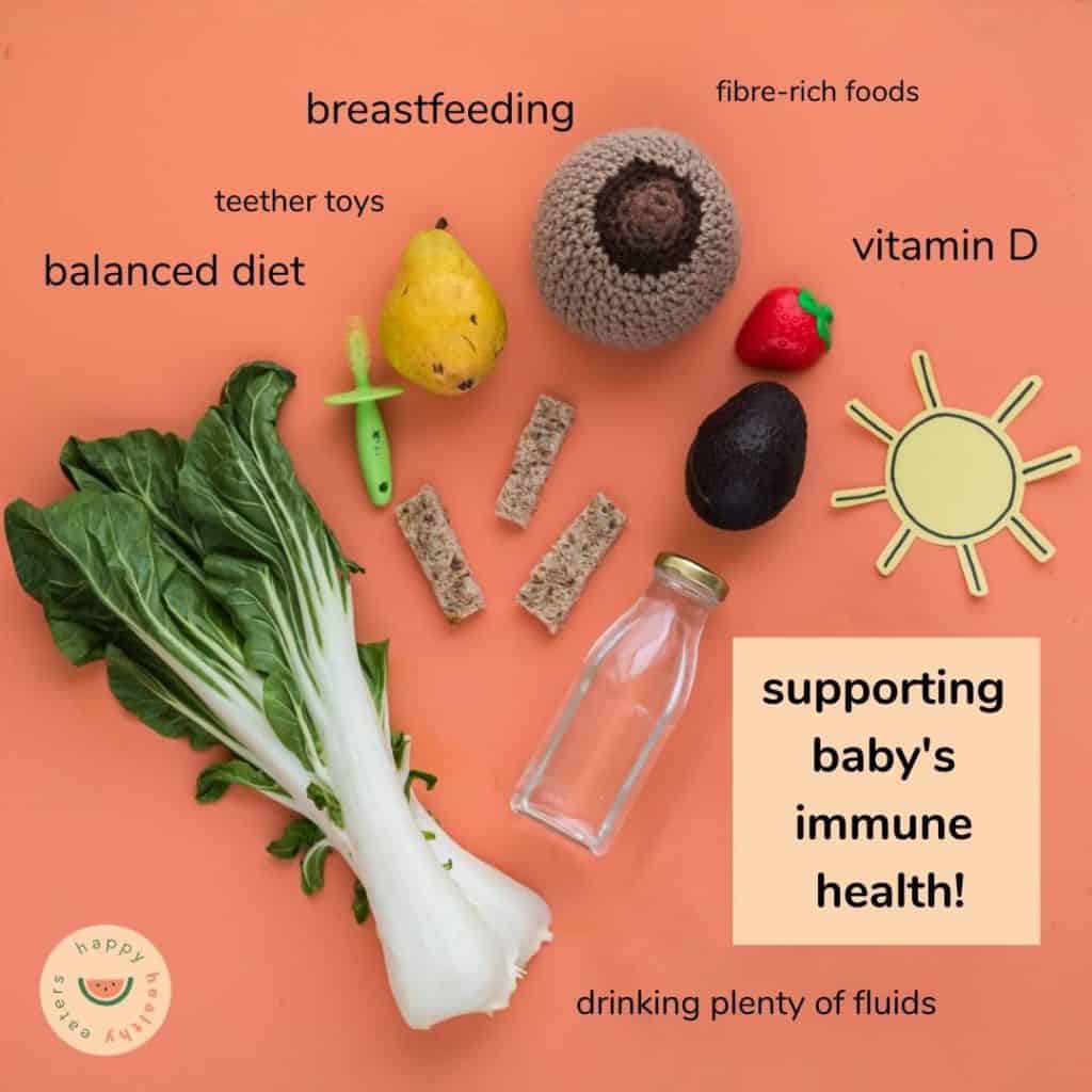 A flatlay of different foods and objects that represent different things that can help support baby's immune health: fibrous foods, water, breastfeeding, teether toys, Vitamin D.