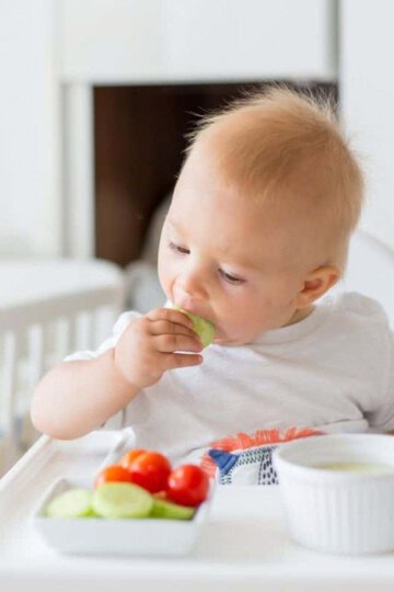 Blonde baby self-feeding cucumber in high chair