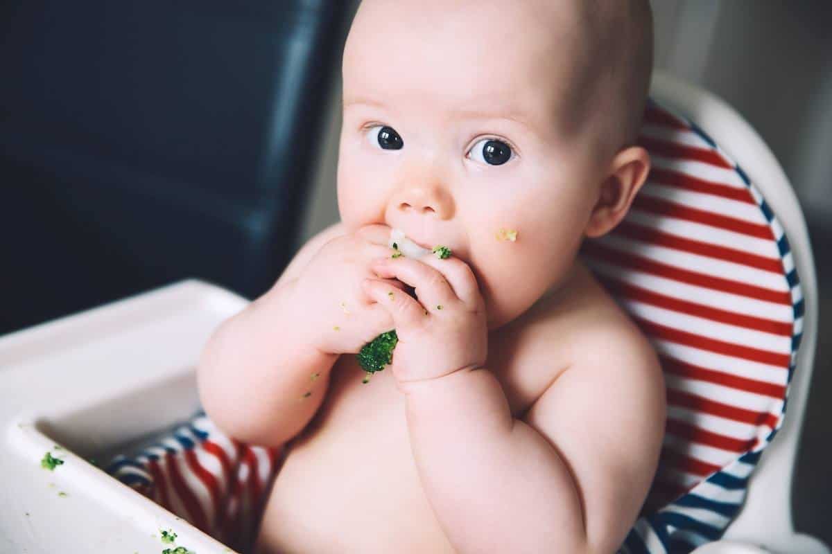 baby sitting in high chair self feeding broccoli