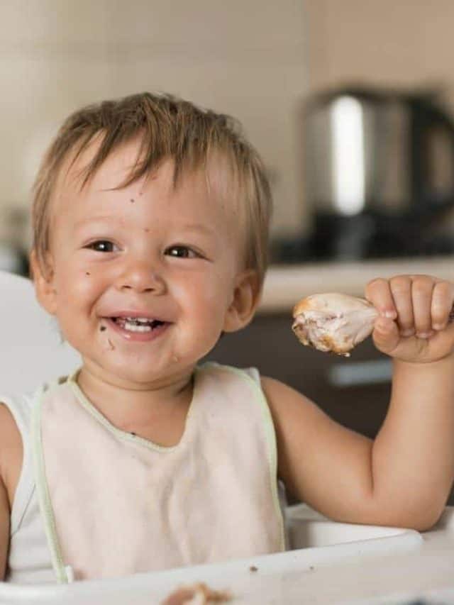 when can babies eat meat?