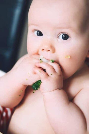 baby sitting in high chair self feeding broccoli
