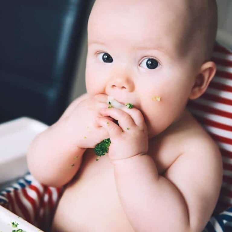 baby sitting in high chair self feeding broccoli