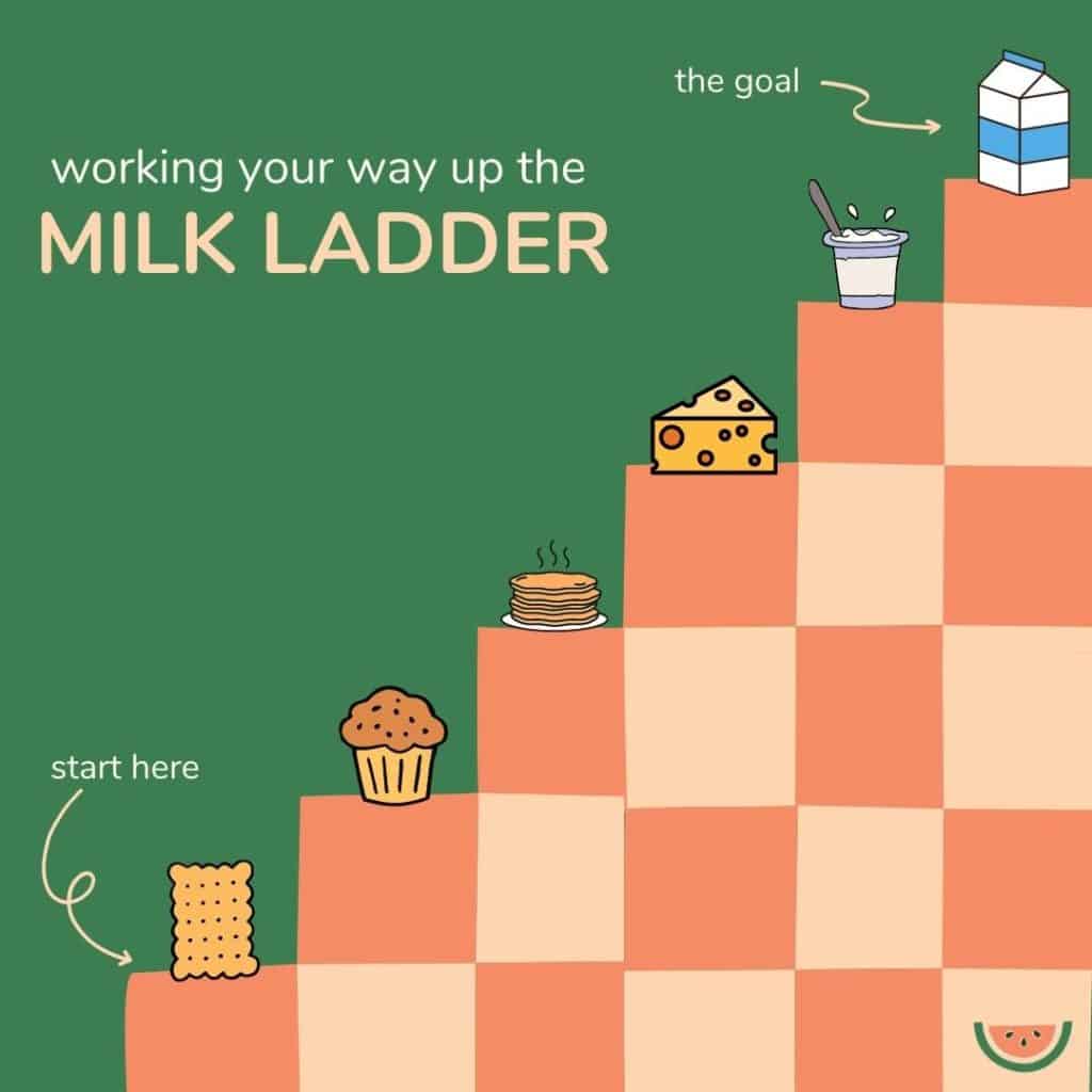 Example of a 6 step milk ladder for re-introducing dairy products to a child with cow's milk protein allergy.
