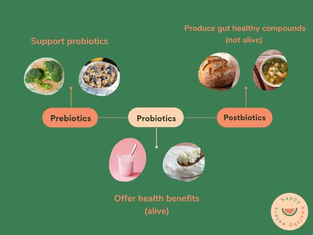 infographic showing how prebiotics, probiotics, and postbiotics are connected