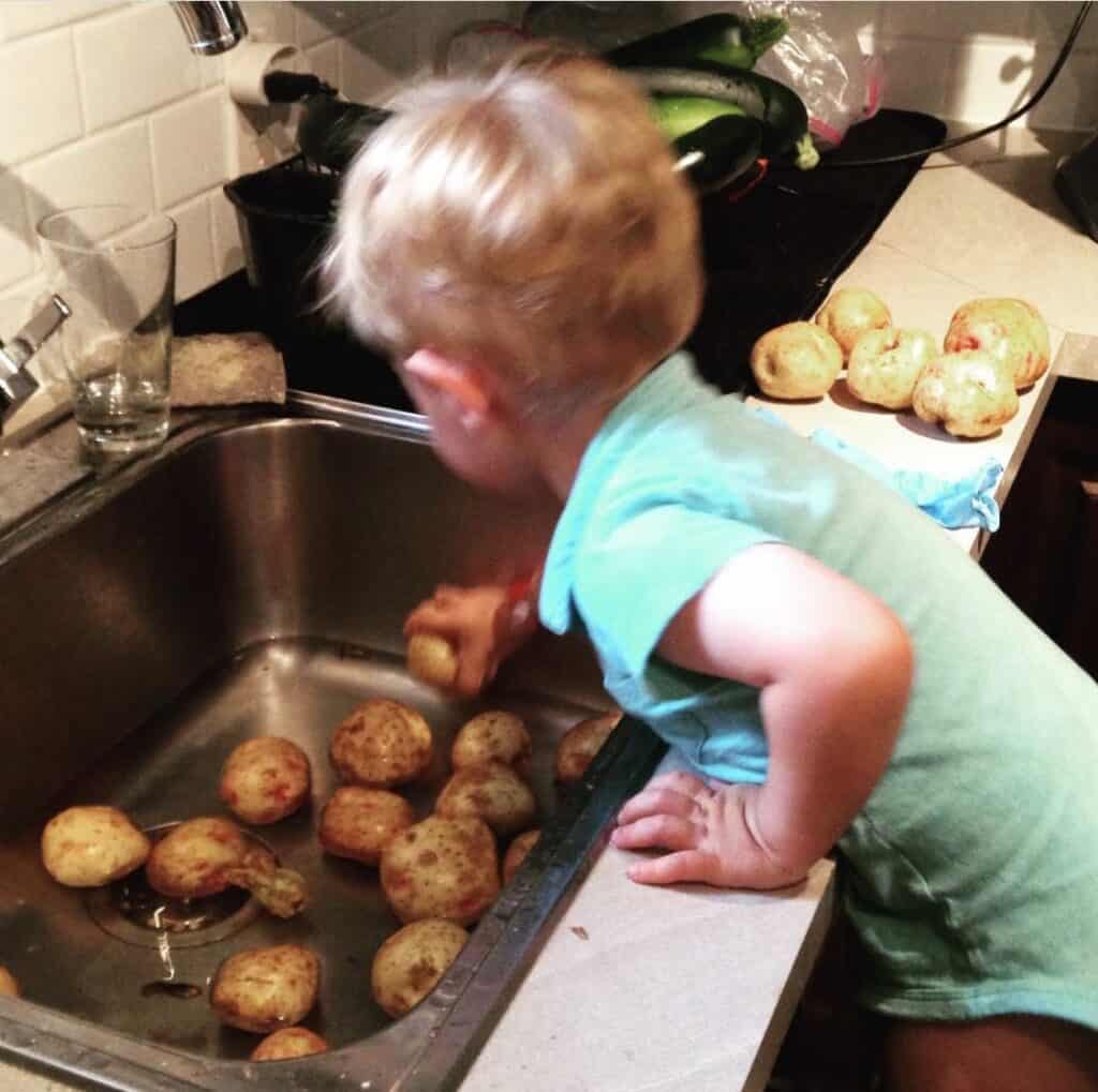 Toddler scrubbing potatoes over a sink.