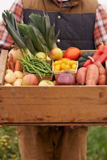 A wooden crate of veggies held by someone in a field.