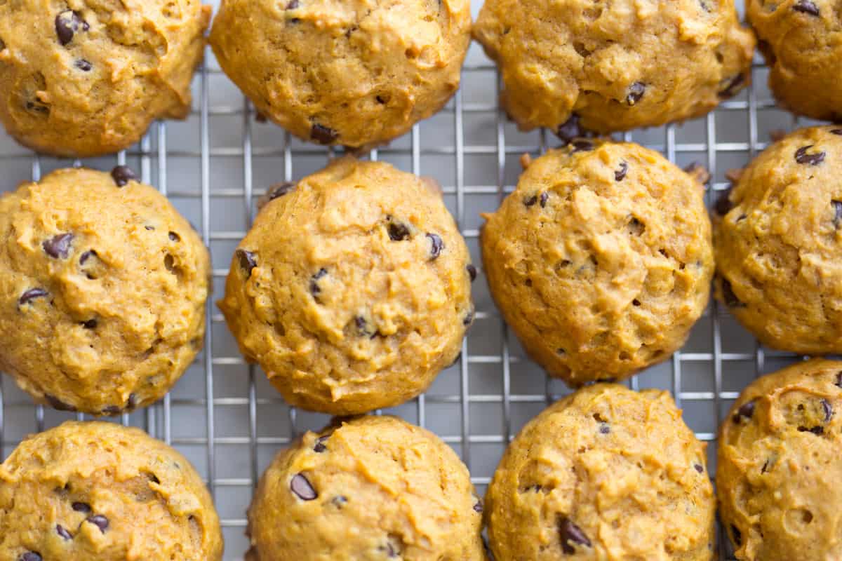 Close up image of freshly baked soft chocolate chip pumpkin cookies on a cooling rack.