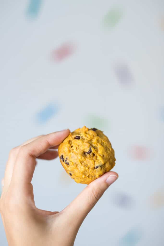 A hand holding up a soft chocolate chip pumpkin cookie with a blurred wall in the background.