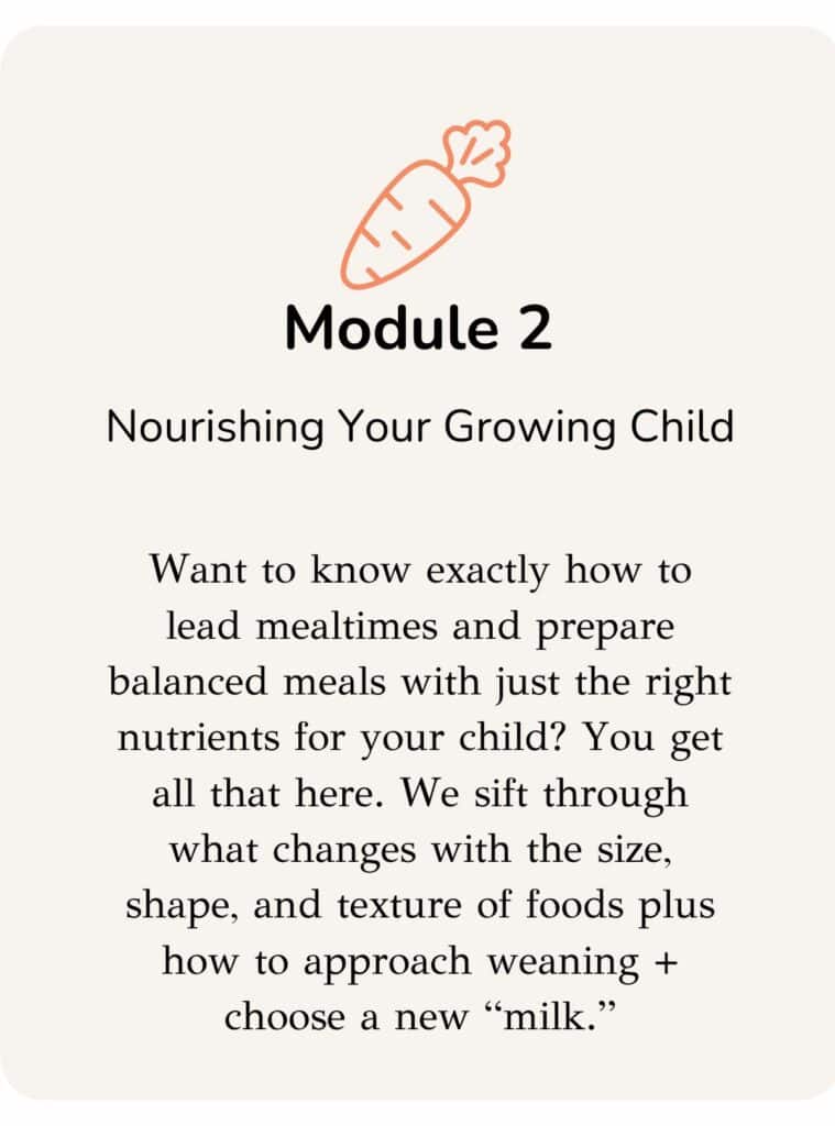 Description of module two: Want to know exactly how to lead mealtimes and prepare balanced meals with just the right nutrients for your child? You get all that here. We sift through what changes with the size, shape, and texture of foods plus how to approach weaning + choose a new “milk.”