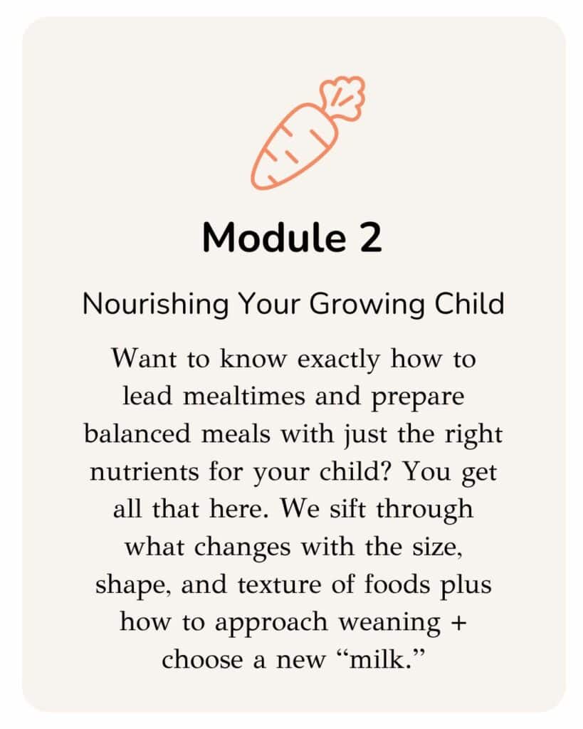Want to know exactly how to lead mealtimes and prepare balanced meals with just the right nutrients for your child? You get all that here. We sift through what changes with the size, shape, and texture of foods plus how to approach weaning + choose a new “milk.”