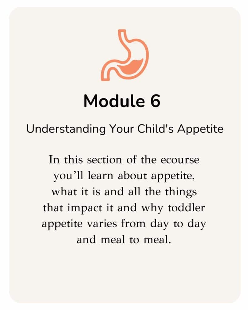 In this section of the ecourse you’ll learn about appetite, what it is and all the things that impact it and why toddler appetite varies from day to day and meal to meal.