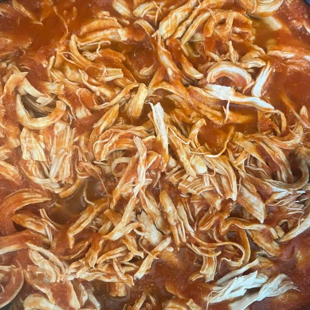 A closeup image of baby friendly chicken tinga.