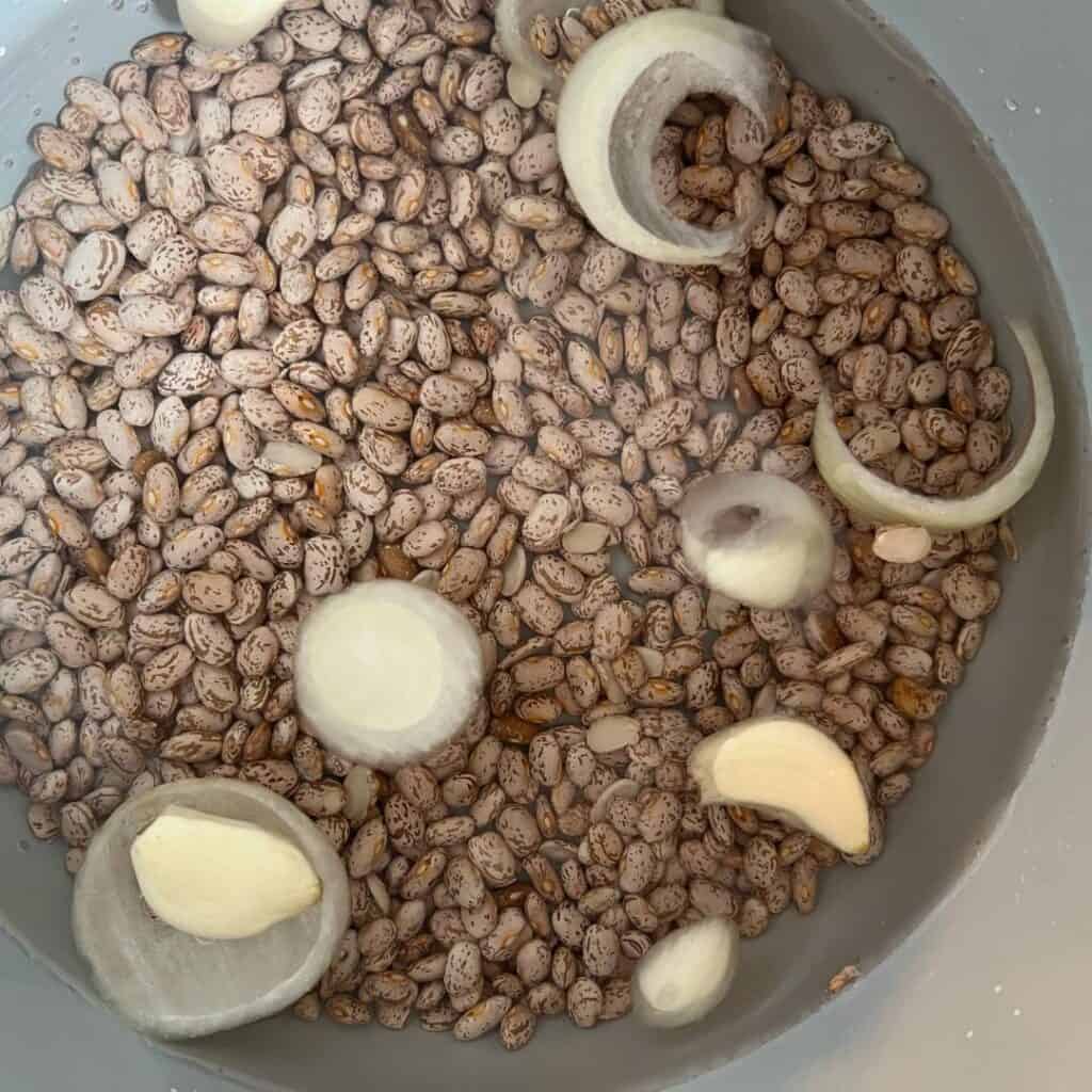 A pot of pinto beans, onion, and garlic - ready to be cooked. This is a baby friendly recipe for mexican beans.