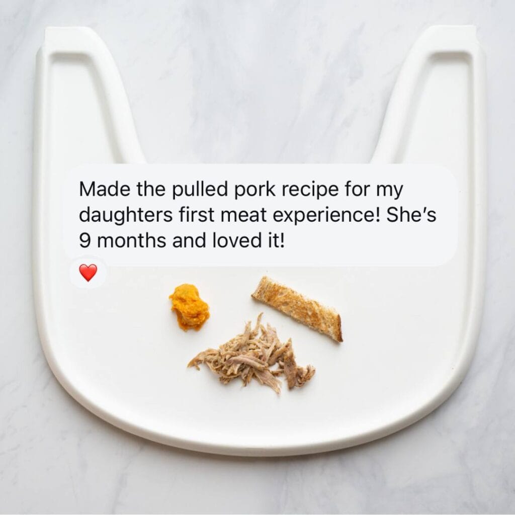 A parent testimonial for Whole Food Recipes for Your Baby ebook. Background image is for pulled pork.