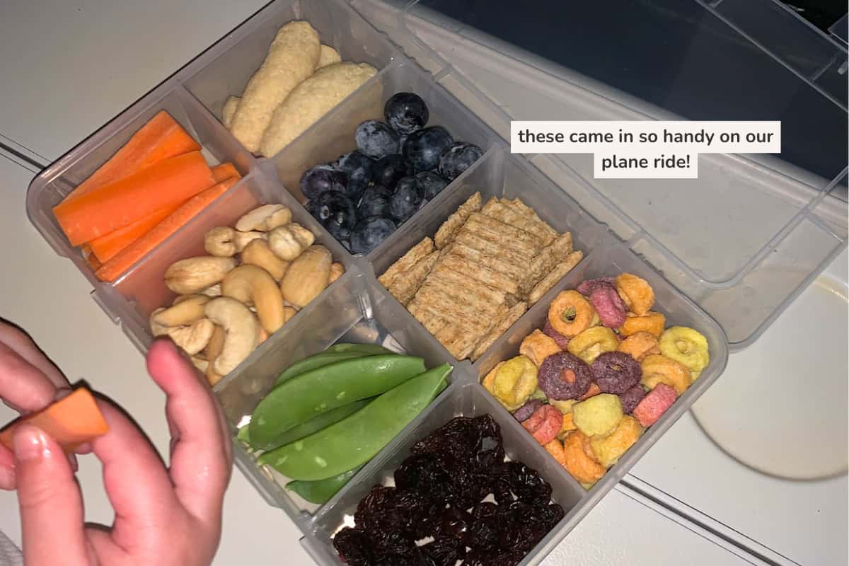snack box containing small portions of puffed snacks, blueberries, crackers, cereal, raisins, snap peas, cashews and carrots. 