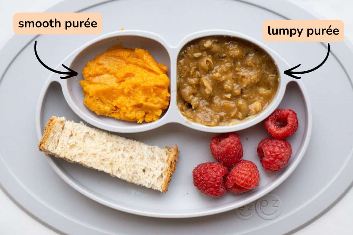 A baby plate showing the difference between a smooth and lumpy purée.
