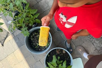 Child holding mango chia pop outside in the garden.