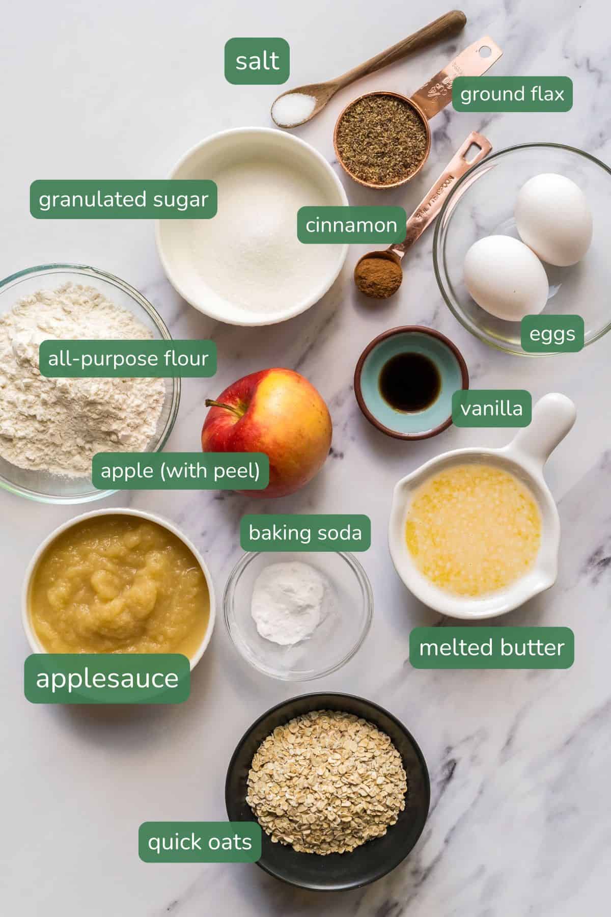 Labeled ingredient image for healthy applesauce cake made with both applesauce and shredded apples.