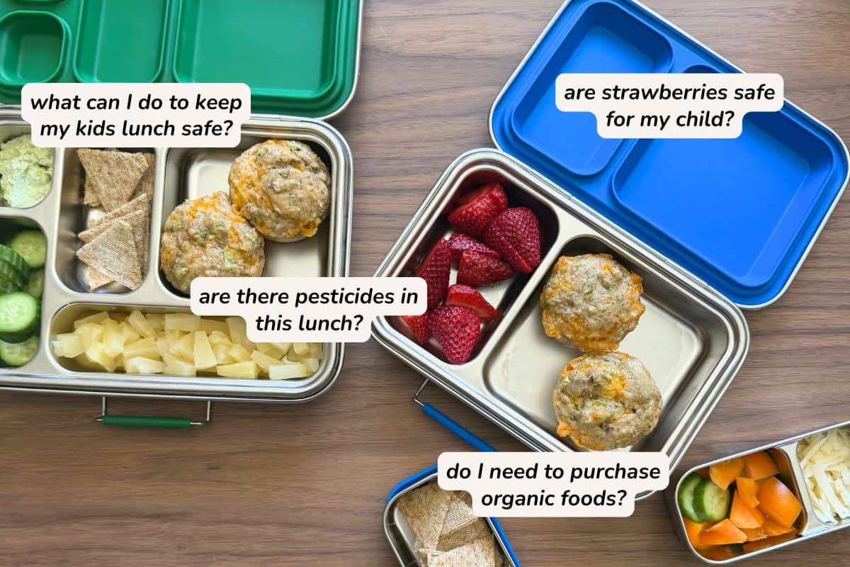 Two lunch kits for children filled with cucumbers, crackers, canned pineapple, broccoli cheddar egg muffins and another lunch kit with raspberries and the broccoli cheddar egg muffins.  There is text over the images which is a series of questions including: what can I do to keep my kids lunch safe? Are there pesticides in this lunch? Are strawberries safe for my child? Do I need to purchase organic foods?